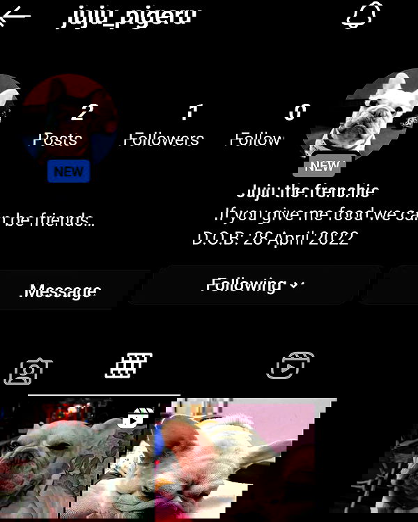 iamdorasnow iamdorasnow archive image