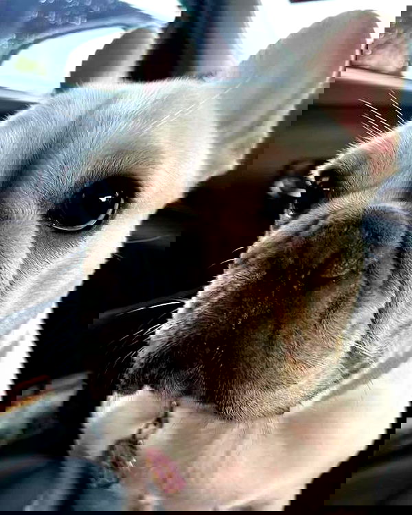 iamdorasnow iamdorasnow archive image