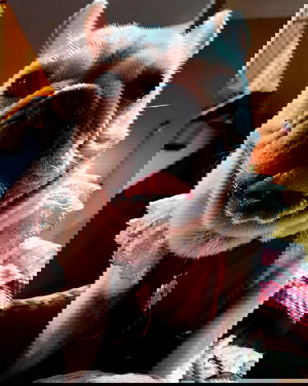 iamdorasnow iamdorasnow archive image