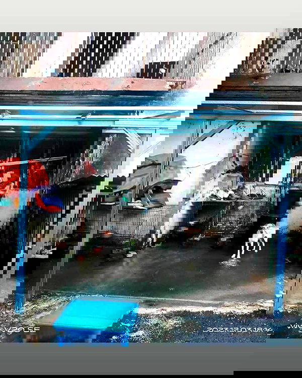 iamdorasnow iamdorasnow archive image