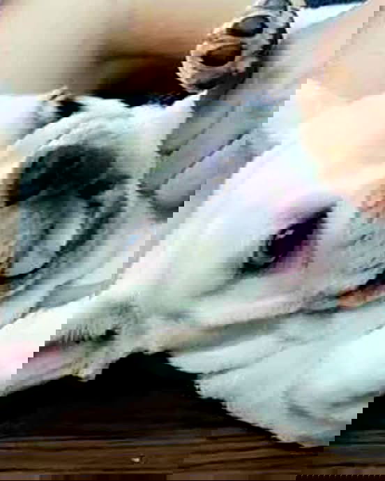 iamdorasnow iamdorasnow archive image