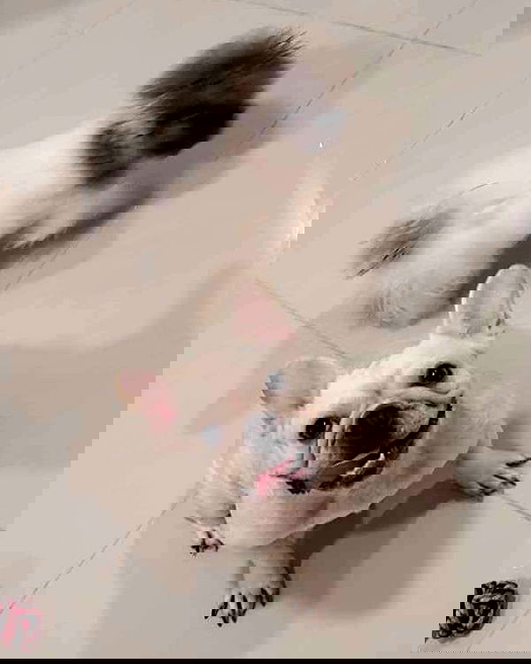 iamdorasnow iamdorasnow archive image