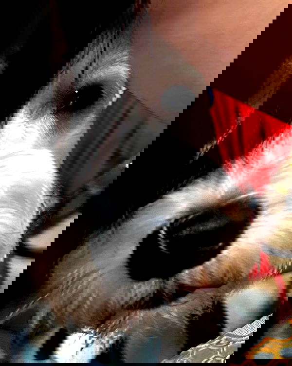 iamdorasnow iamdorasnow archive image