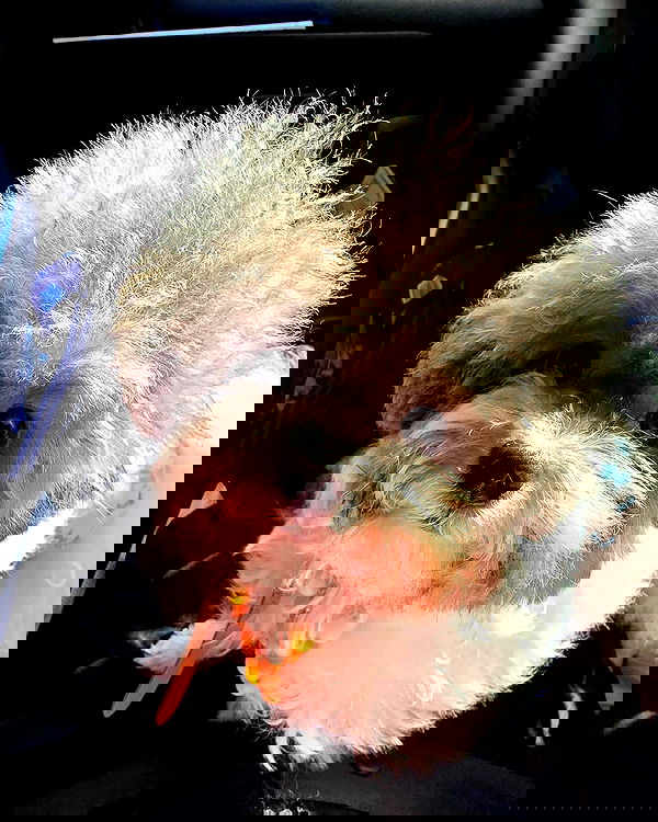 iamdorasnow iamdorasnow archive image