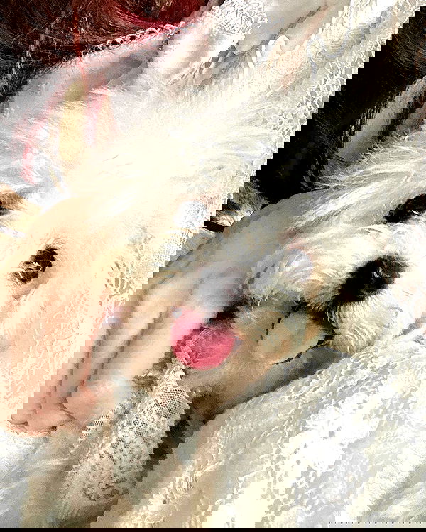 iamdorasnow iamdorasnow archive image