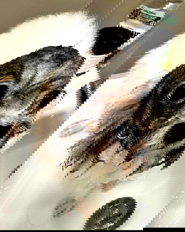 iamdorasnow iamdorasnow archive image