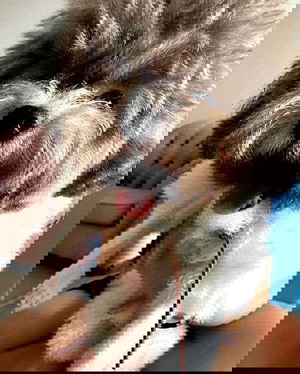 iamdorasnow iamdorasnow archive image