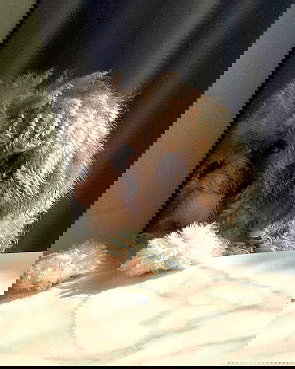 iamdorasnow iamdorasnow archive image