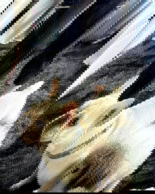 iamdorasnow iamdorasnow archive image