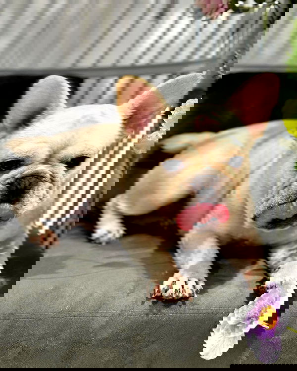 iamdorasnow iamdorasnow archive image