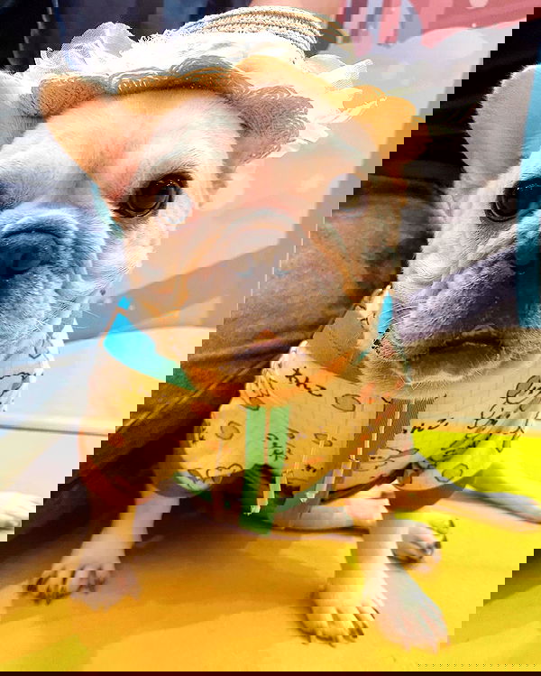 iamdorasnow iamdorasnow archive image