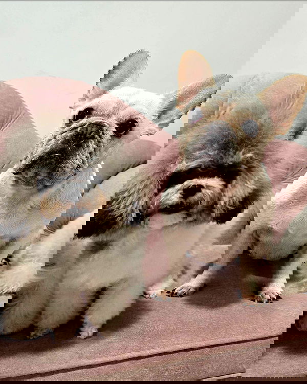 iamdorasnow iamdorasnow archive image