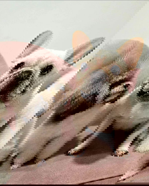 iamdorasnow iamdorasnow archive image