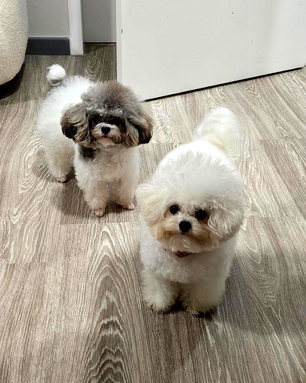 iamdorasnow instagram image archive image