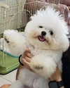 iamdorasnow Altpins Profile Picture