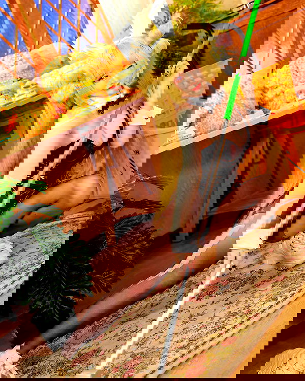 iamdorasnow iamdorasnow archive image