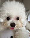 iamdorasnow Altpins Profile Picture