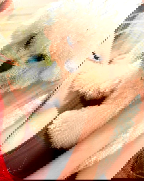 iamdorasnow iamdorasnow archive image