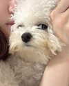 iamdorasnow Altpins Profile Picture