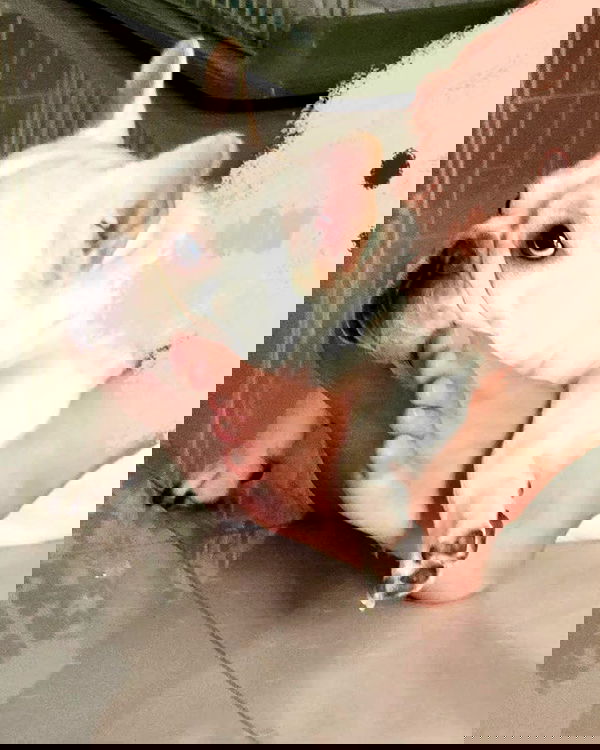 iamdorasnow iamdorasnow archive image