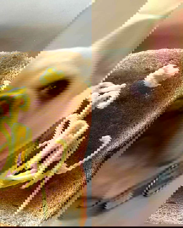 iamdorasnow iamdorasnow archive image