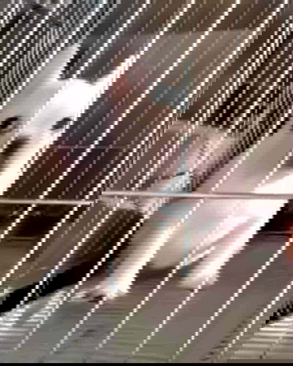 iamdorasnow iamdorasnow archive image