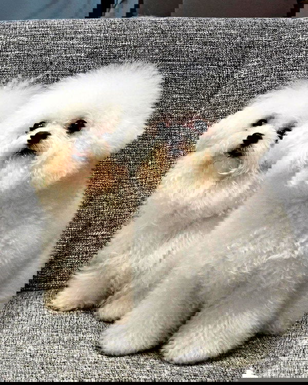 iamdorasnow iamdorasnow archive image