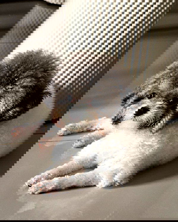 iamdorasnow iamdorasnow archive image