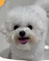 iamdorasnow Altpins Profile Picture