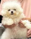 iamdorasnow Altpins Profile Picture