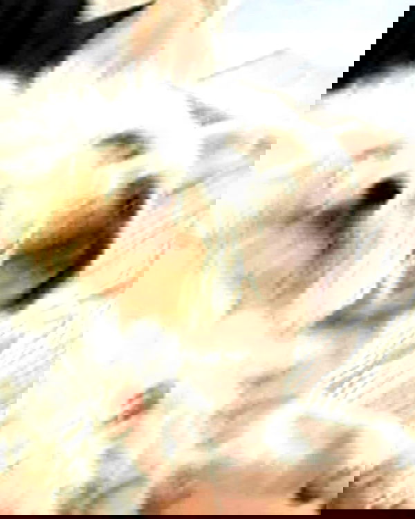 iamdorasnow iamdorasnow archive image