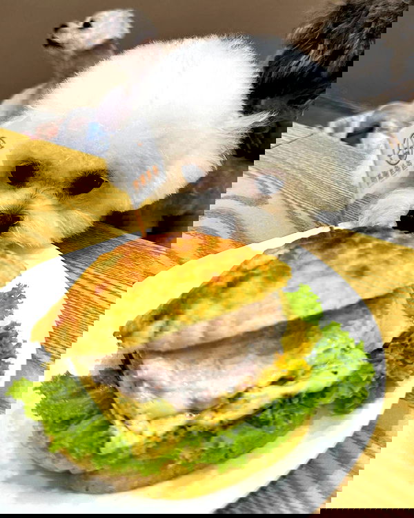 iamdorasnow iamdorasnow archive image