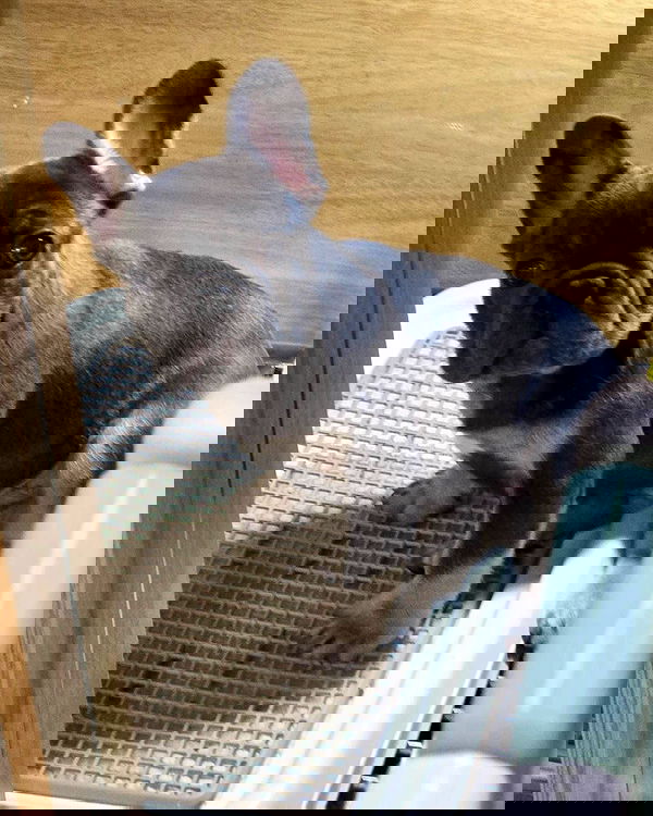 iamdorasnow iamdorasnow archive image