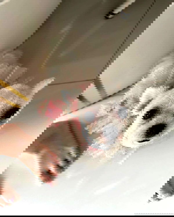 iamdorasnow iamdorasnow archive image