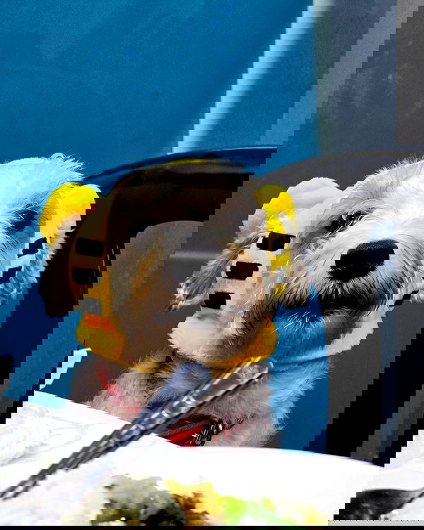 iamdorasnow iamdorasnow archive image