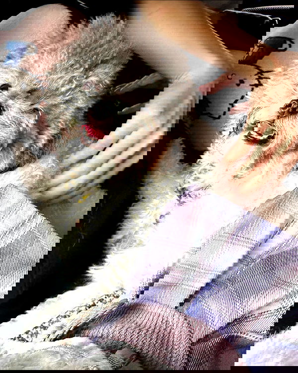 iamdorasnow iamdorasnow archive image