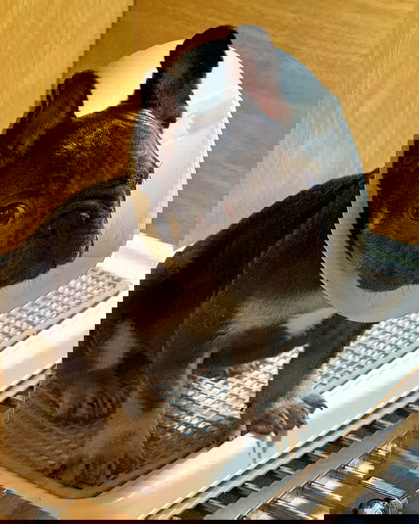 iamdorasnow iamdorasnow archive image