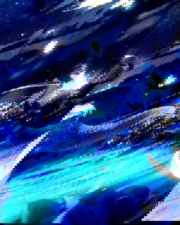 iamdorasnow iamdorasnow archive image