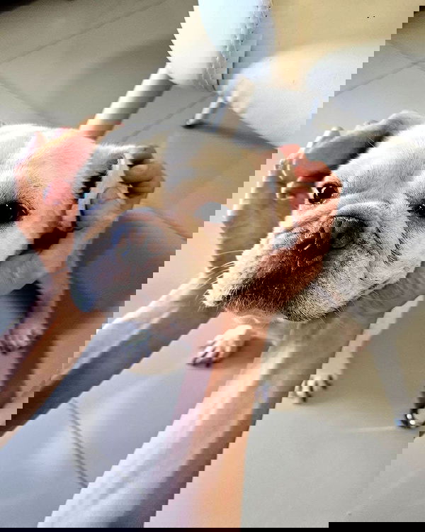 iamdorasnow iamdorasnow archive image