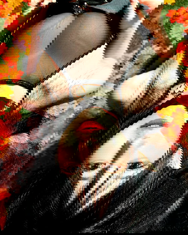 iamdorasnow iamdorasnow archive image