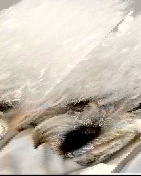 iamdorasnow iamdorasnow archive image