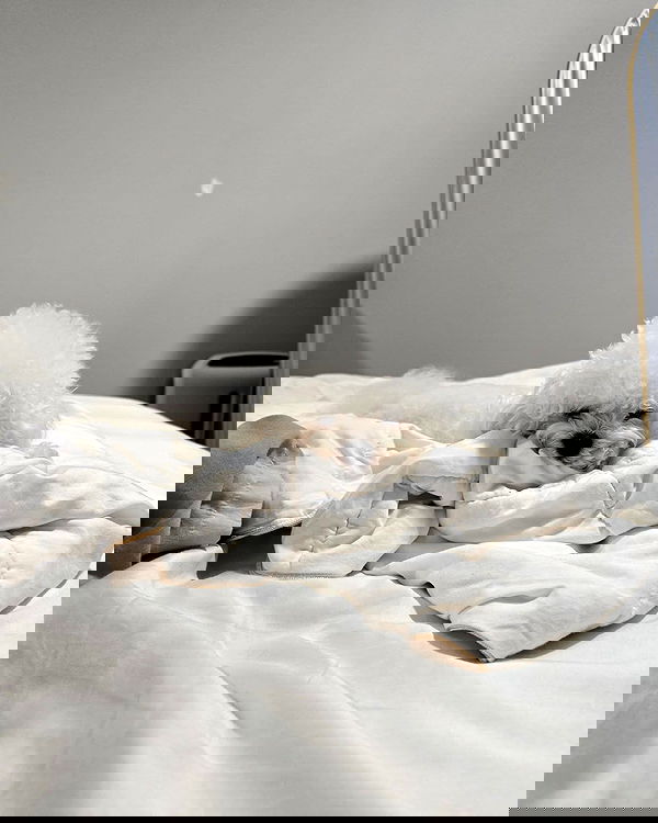 iamdorasnow iamdorasnow archive image