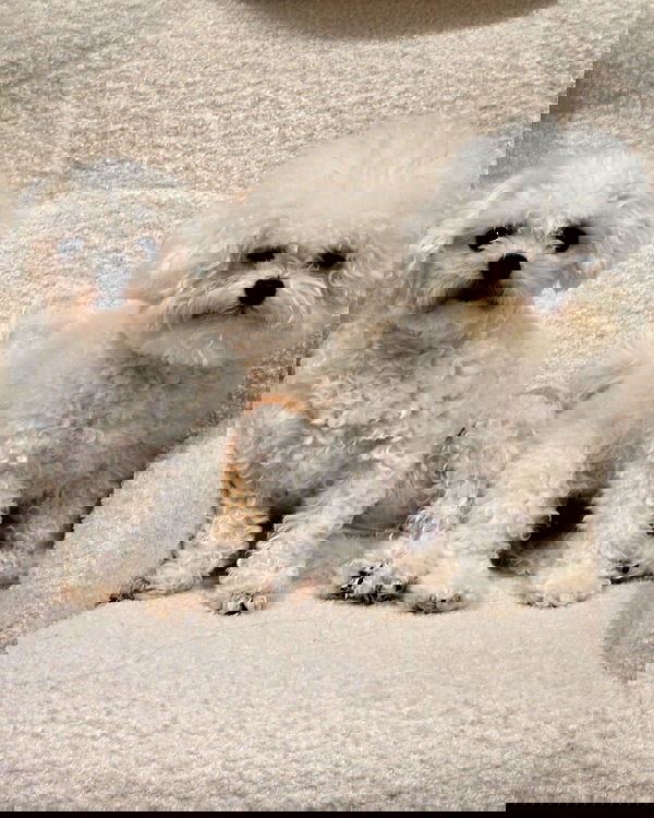 iamdorasnow iamdorasnow archive image