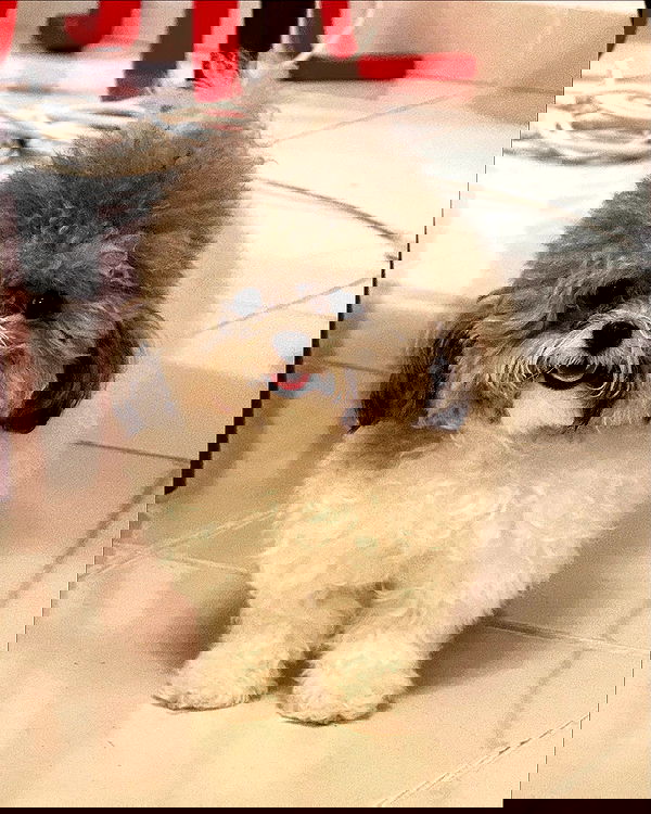 iamdorasnow iamdorasnow archive image