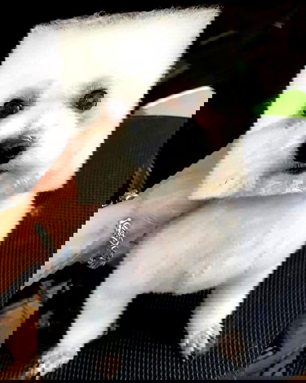 iamdorasnow iamdorasnow archive image