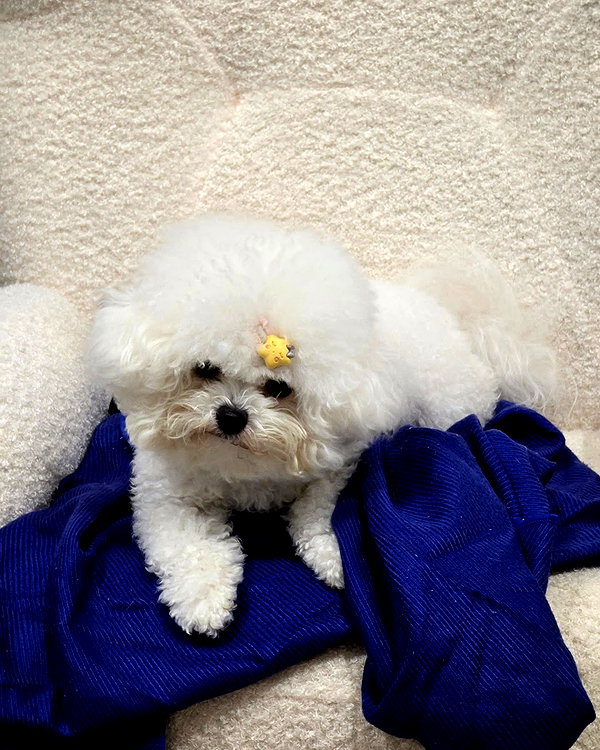 iamdorasnow instagram image archive image