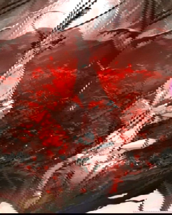 iamdorasnow iamdorasnow archive image