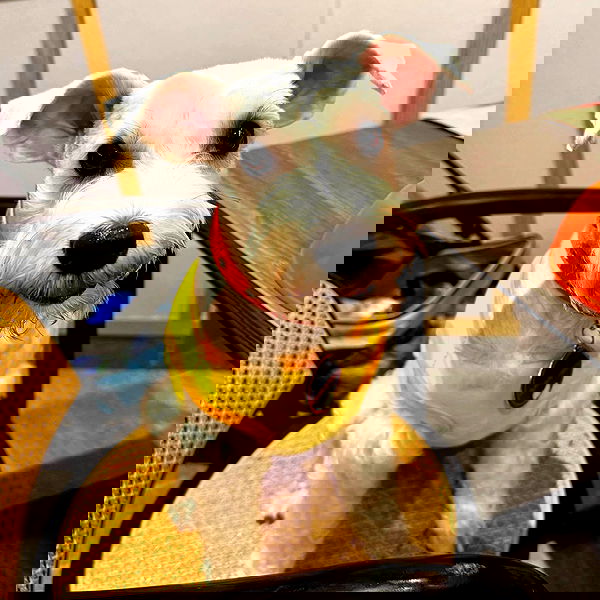 iamdorasnow iamdorasnow archive image