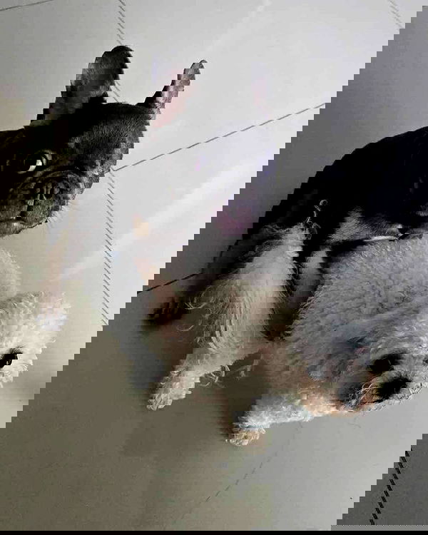 iamdorasnow iamdorasnow archive image