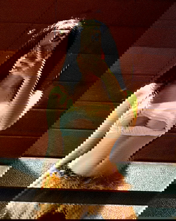 iamdorasnow iamdorasnow archive image